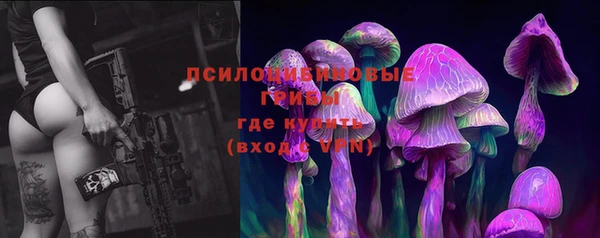 твердый Липки