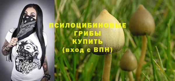 твердый Липки