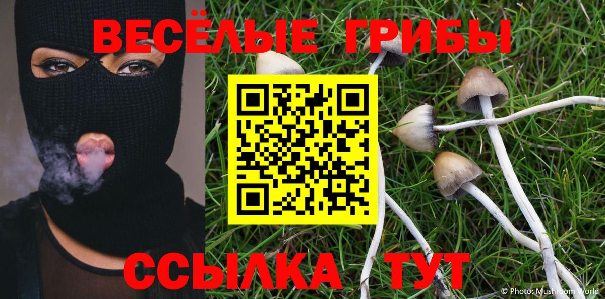 Галлюциногенные грибы MAGIC MUSHROOMS  Вход с VPN  Псилоцибиновые грибы мицелий  Северодвинск 