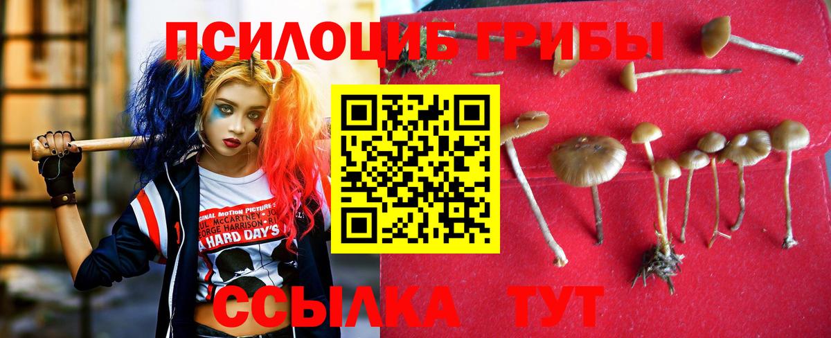 Галлюциногенные грибы Magic Shrooms Северодвинск